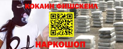 тгк Бердск