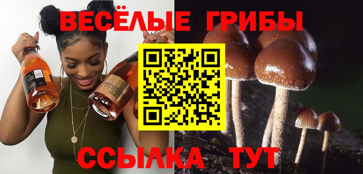 Псилоцибиновые грибы прущие грибы Волгоград