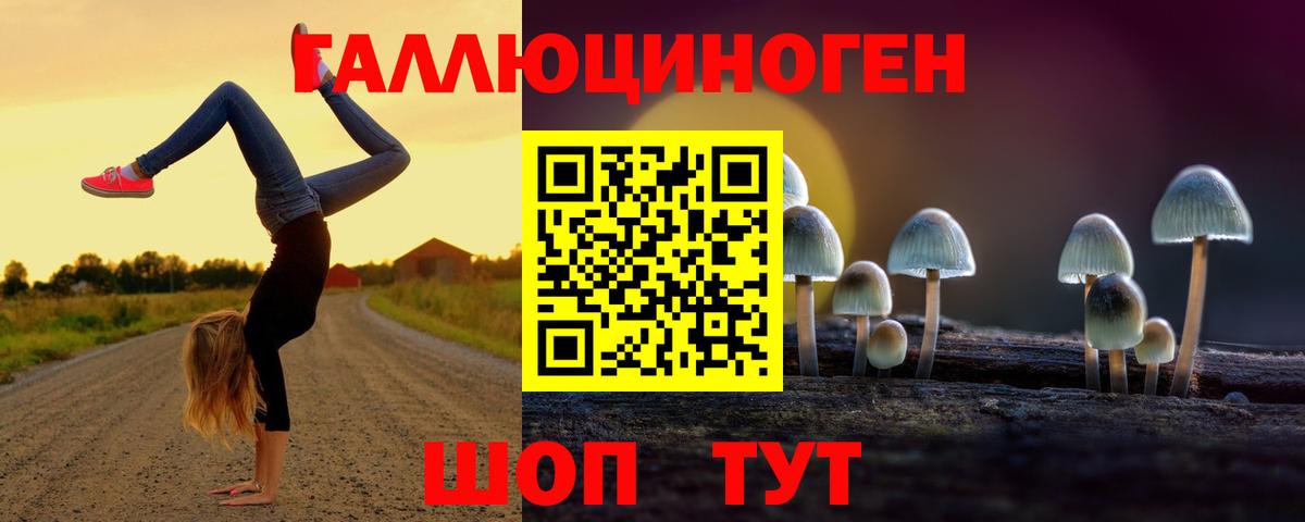 цены наркотик  Псилоцибиновые грибы MAGIC MUSHROOMS  Вход с VPN  Галлюциногенные грибы мухоморы  Волгоград 